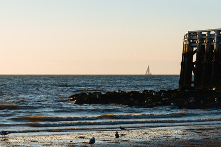 Sailboat at Sunset by the Pierの写真素材