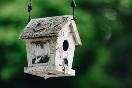 Wooden birdhouse on a tree with a blurred background