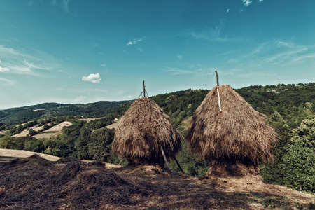 Hay stack on the meadow, country lifestyle at mountain village.の写真素材
