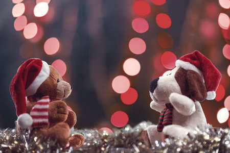 Two teddy bears enjoying Christmas and New Year Eve, New Year celebration concept.の写真素材