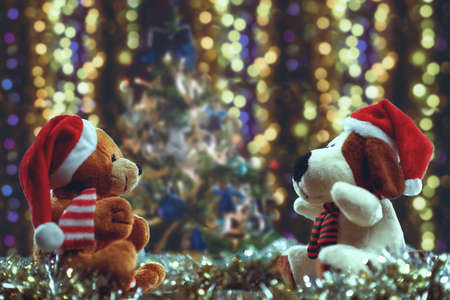 Two teddy bears enjoying Christmas and New Year Eve, New Year celebration concept.の写真素材