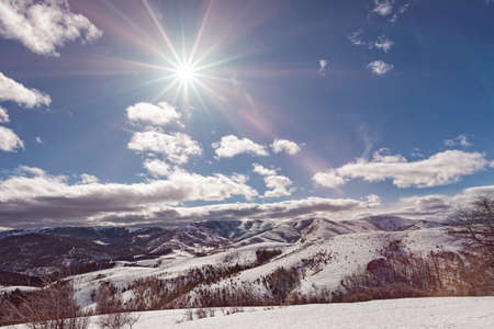 Mountain Zlatibor, Serbia at winter. Beautiful landscape in winter, a snow covered mountain on the sunny clear day.の写真素材