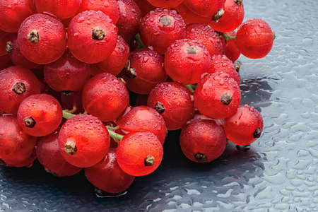 Red currant berries with water drops on the dark grey background. Macro photo.の写真素材