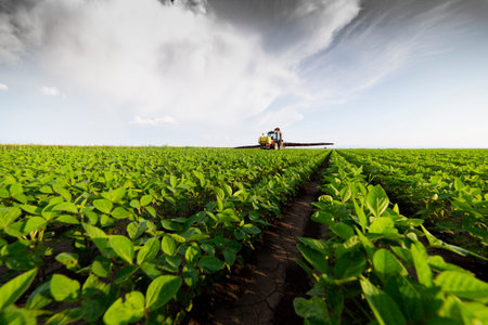 Tractor spraying pesticides at soy bean fields
