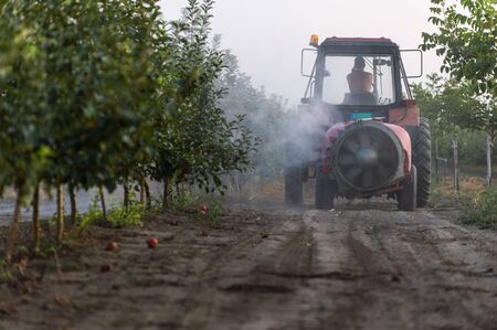 Spraying trees in fruit orchard against insect and deceasesの写真素材