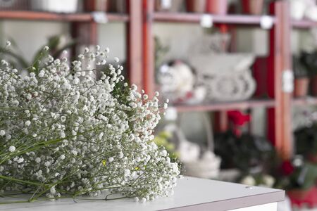 Florist workplace. Gypsophyla paniculata double white. Woman arranging a bouquet with roses and gypsophila paniculata twigsの写真素材