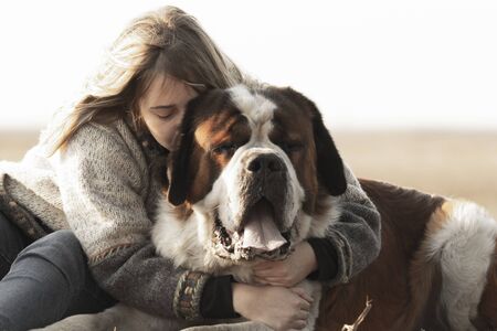 Girl and her big Bernard dog の写真素材