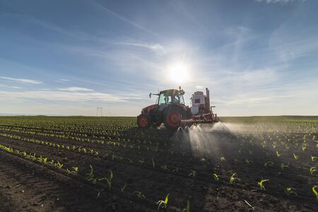 Tractor spray fertilize field with insecticide herbicide chemicals in agriculture field の写真素材