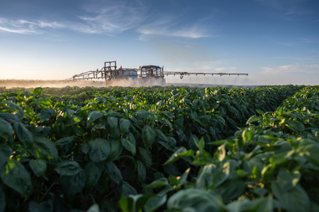 Tractor spraying pesticides on vegetable field with sprayer at summerの写真素材