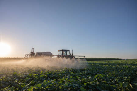 Tractor spraying pesticides on vegetable field with sprayer at summerの写真素材