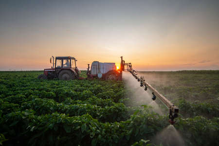 Tractor spraying pesticides on vegetable field with sprayer at summerの写真素材