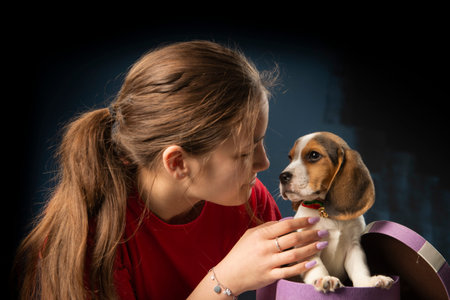 Smiling beautiful girl getting puppy in purple gift box for Christmas or Birthday. Friendshipの写真素材