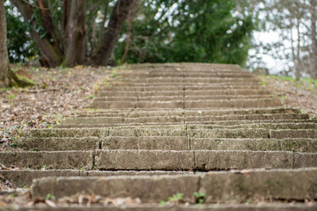 Old ancient stone stairs in nature