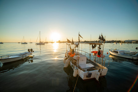 The harbor of the fishing boats of the coastal town of Umag on the Istrian peninsula, Croatia