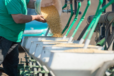 Farmer with can pouring soy seeds for sowing crops at agricultural field in spring