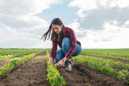 A young female farmer in a soybean field in the spring
