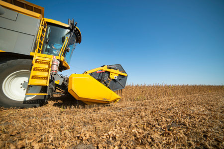 Harvesting of soybean field with combineの写真素材