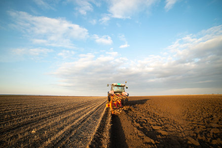 The tractor is working in the field, preparing the soil in autumn after the harvest. Cultivation of...