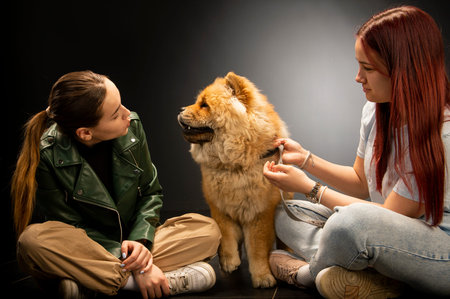 Two young, beautiful girls are having fun with a chow chow dog on black background. Friendship