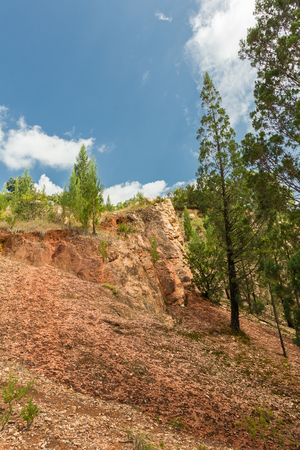 Rocks and Cliffs. Kakamega Forest. Kenya, Africaの写真素材