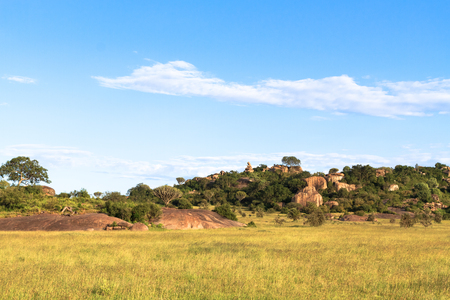 Clouds over savannah. Yellow field. Serengeti, Tanzaniaの写真素材