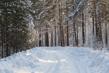 Winter road in the forest. Somewhere in Siberia.の写真素材
