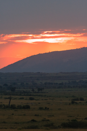 Sunset over the savanna in Masai Mara. Kenya, Africaの写真素材