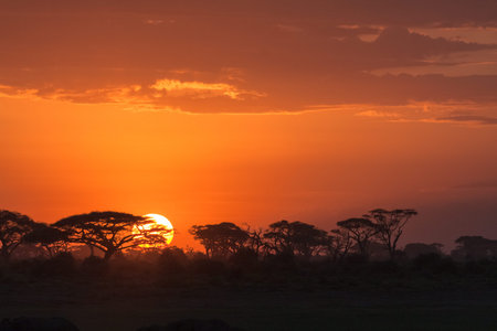 African sunrise. Amboseli, Kenyaの写真素材