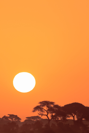 Sunset in Amboseli. Kenya, Africaの写真素材