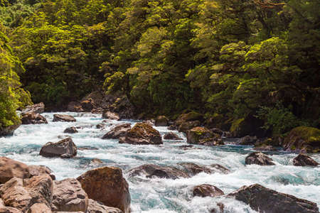 A fast river near Pop's View lookout. Fiordland national park. New Zealandの写真素材