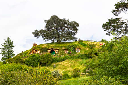 Matamata, North Island, New Zealand-11 20 2019: House Bilbo. The famous oak tree in Hobbiton.のeditorial素材