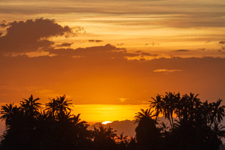 African sunrise. Amboseli, Kenya
