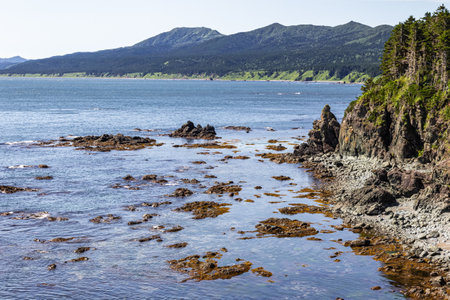 Cape Giant. Bizarre rocks. Okhotsk Sea coast. Sakhalin, Russiaの写真素材