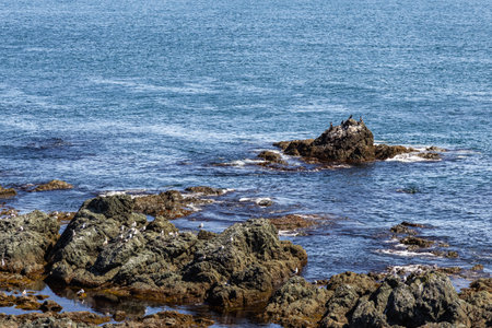 Cape Giant. Bizarre rocks. Okhotsk Sea coast. Sakhalin, Russiaの写真素材