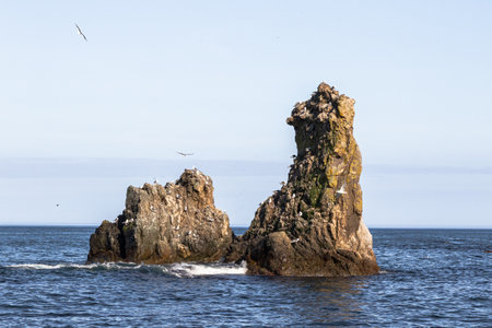 Rocky island in the sea with birds flying in the blue sky. Bird's Cape. Bizarre rocks. Okhotsk Sea coast. Sakhalin, Russiaの写真素材