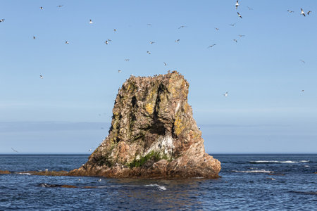 Rocky island in the sea with seagulls flying around. Bird's Cape. Bizarre rocks. Okhotsk Sea coast. Sakhalin, Russiaの写真素材