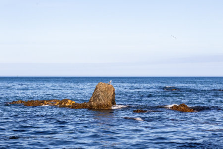 Bird's Cape. Bizarre rocks. Okhotsk Sea coast. Sakhalin, Russiaの写真素材