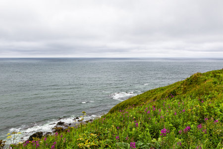 Cape Acute. South Sakhalin, Russiaの写真素材