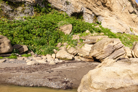 Yellowish cliffs above the sea in the south of Sakhalin. Russiaの写真素材