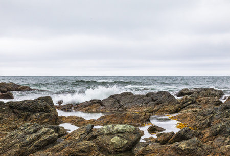 Cape Acute. South Sakhalin, Russia