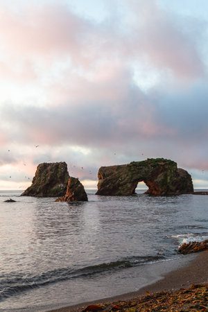 Sunset view of a rock formation with seagulls flying. Bird's Cape at sunrise, South Sakhalin, Russiaの写真素材