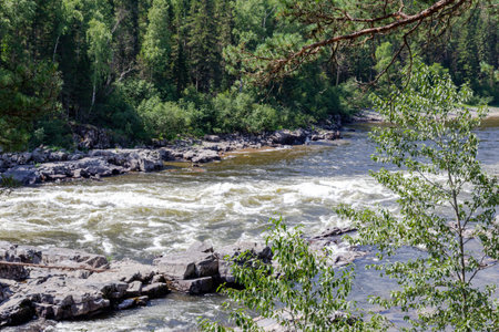 View of the raging rapids of the Kazyr River. Near Kuragino, Russiaの写真素材