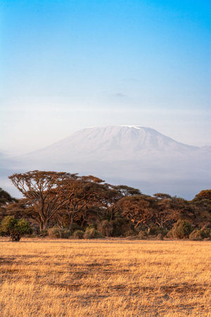 Hills and plains of Amboseli. Landscapes of Eastest Africa. Kenyaの写真素材