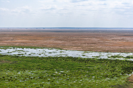 A view of the Amboseli plains and waters from a low hill. Kenya, Africaの写真素材