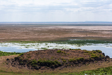 A view of the Amboseli plains and waters from a low hill. Kenya, Africaの写真素材