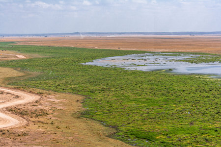 A view of the Amboseli plains and waters from a low hill. Kenya, Africaの写真素材