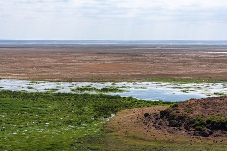 A view of the Amboseli plains and waters from a low hill. Kenya, Africaの写真素材