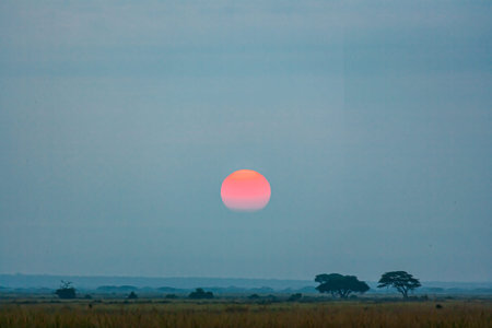 Azure sunset in Amboseli, Kenya, Africaの写真素材