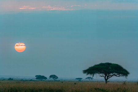 Azure sunset in Amboseli, Kenya, Africaの写真素材