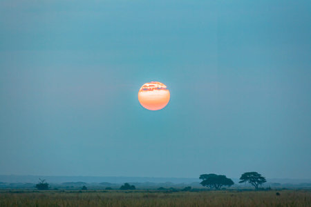 Azure sunset in Amboseli, Kenya, Africaの写真素材